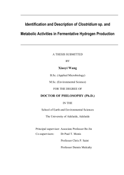 Identification and Description of Clostridium sp. and Metabolic