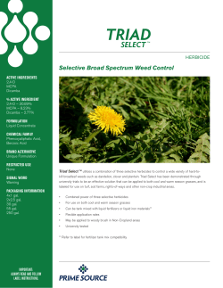 Brochure - Prime Source