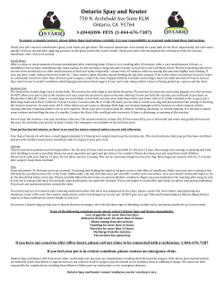 Post Surgical Care - Ontario Spay and Neuter