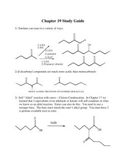 Chapter 19 Study Guide