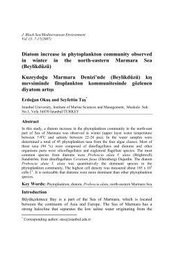 Diatom increase in phytoplankton community observed in winter in