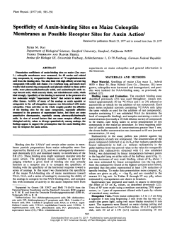 Specificity of Auxin-binding Sites on Maize