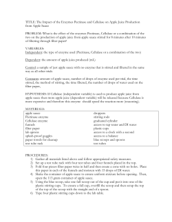 TITLE: The Impact of the Enzymes Pectinase and Cellulase on