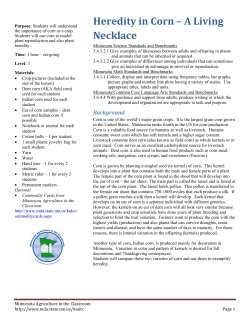 Heredity in Corn