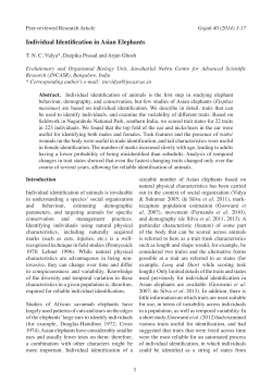 Individual Identification in Asian Elephants