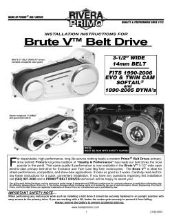 Brute V - Rivera Primo, Inc.