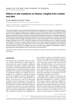 Effects of new mutations on fitness: insights from models and data