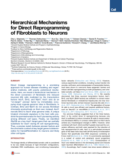 Hierarchical Mechanisms for Direct Reprogramming of Fibroblasts to