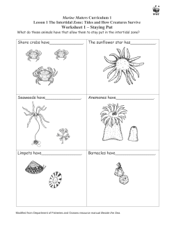 Lesson 1 The Intertidal Zone: Tides and How Creatures Survive