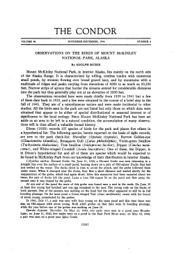 Observations on the Birds of Mount McKinley National Park, Alaska