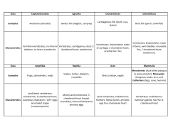 Class Cephalochordata Agnatha Chondricthyes Osteichthyes Class