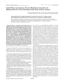 Lipid Phase Coexistence Favors Membrane Insertion of Equinatoxin