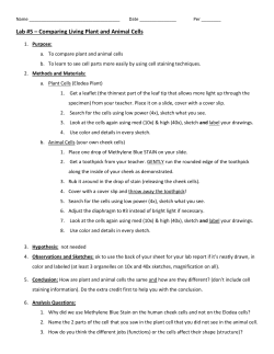Lab #5 &ndash; Comparing Living Plant and Animal Cells