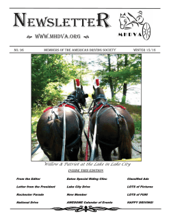 NEWSLETTER - Michigan Horse