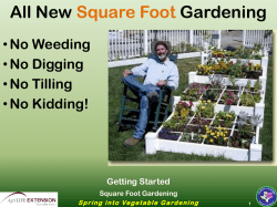 All New Square Foot Gardening