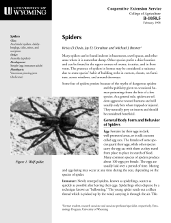 Spiders - Wyoming Extension