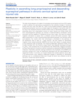 Plasticity in ascending long propriospinal and descending