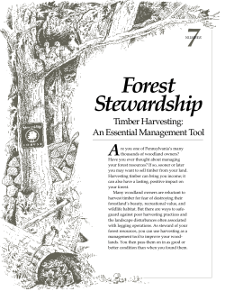 Forest Stewardship -Timber Harvesting
