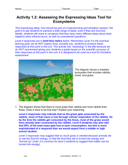 Activity 1.2: Assessing the Expressing Ideas Tool for
