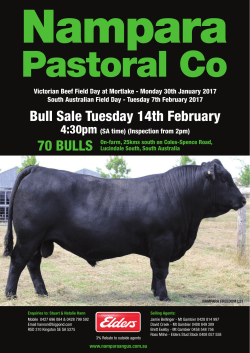 Bull Sale Tuesday 14th February
