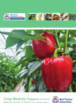 Peppers (protected) - Red Tractor Assurance