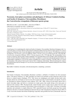 Preview - Magnolia press