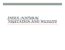 india &ndash;natural vegetation and wildlife