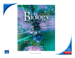 8-2 Photosynthesis