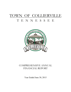 2015 Financial Report (CAFR)