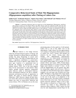 Comparative Behavioral Study of Male Nile Hippopotamus