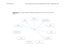 8: Photosynthesis Science programmes of study: key stage 3