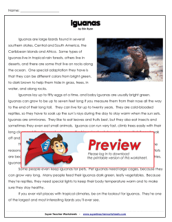 Iguanas - Super Teacher Worksheets