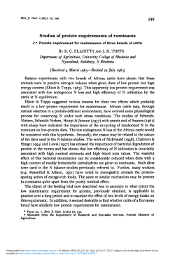 Studies of protein requirements of ruminants
