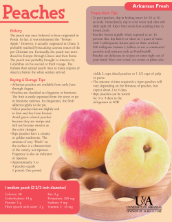 Peaches - Arkansas Fresh (FCS502)