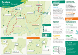 Cropton - Forest Holidays