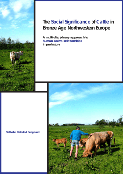The Social Significance of Cattle in Bronze Age Northwestern Europe