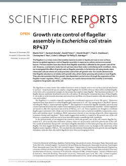 Sim-etal-SR2017-Growth-rate-control-of-flagellar-assembly