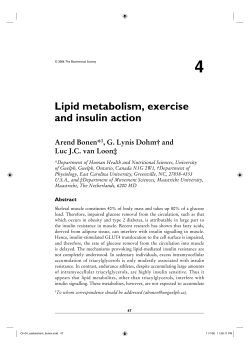 Lipid metabolism, exercise and insulin action