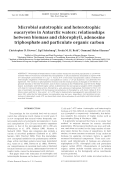 Microbial autotrophic and heterotrophic eucaryotes in Antarctic