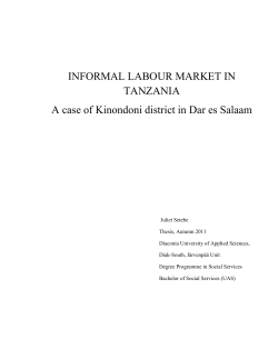 INFORMAL LABOUR MARKET IN TANZANIA A case of