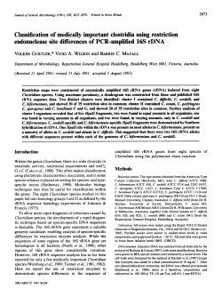 Classification of medically important clostridia using