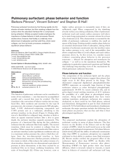Pulmonary surfactant: phase behavior and function Barbora