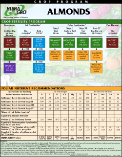 crop-programs-tree-and-vines