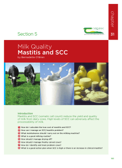 Milk Quality Mastitis and SCC