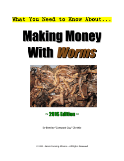 Making Money With Worms