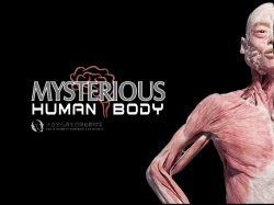 Mysterious Human Body