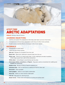 arctic adaptations - Climate Classroom Kids