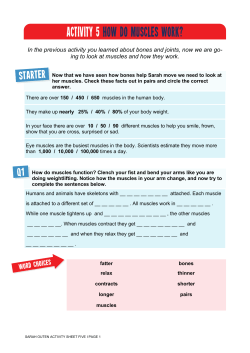 activity 5 how do muscles work?
