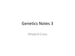 Genetics Notes 3 - cabarrus.k12.nc.us