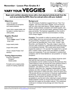 November - Lesson Plan Grades K-1